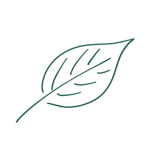 masáže a pedikúra české Budějovice